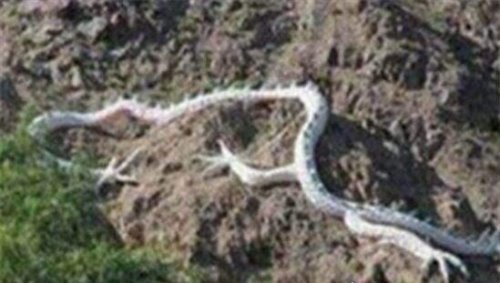 中央不敢报昆仑山之谜揭秘 神秘天雷造成死亡谷遍地骸骨