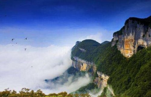 重庆最高的山 第一高峰阴条岭2796米(重庆十大高山排名)