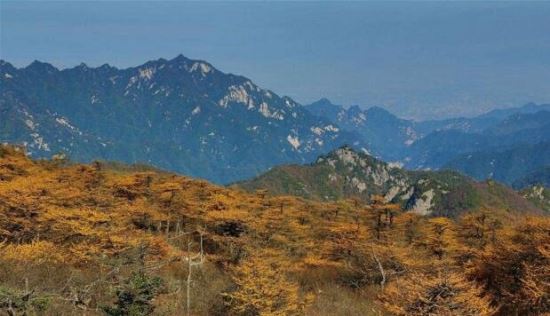 重庆最高的山 第一高峰阴条岭2796米(重庆十大高山排名)