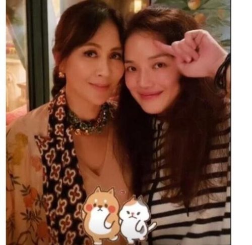 刘嘉玲豪宅开派对 群星云集玩的很嗨(舒淇各种搞怪出镜)