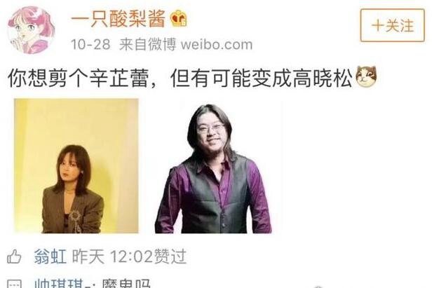 辛芷蕾发型适合什么脸型?圆脸/大脸女生的福音(美到爆)
