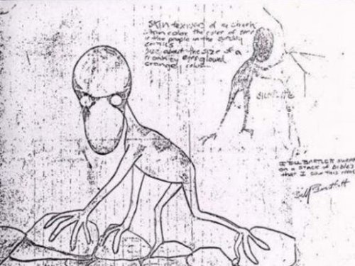 美国多佛恶魔 疑似外星生物(头大如斗眼睛为橙色)