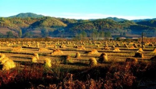 《老酒馆》关东山在哪里 泛指东北地区的山区(以长白山为主)