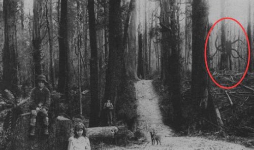 瘦长鬼影slender man 美国恐怖传说中的杀人狂