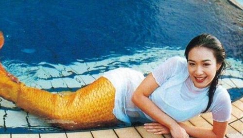 关于美人鱼的电影大全 动画小美人鱼系列最经典
