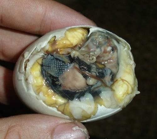 生活中常见10种纯天然春药 估计你已经吃了好几种