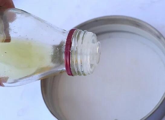 在人脑中繁殖的恐怖生物蠼螋 竟然能够帮忙清除蟑螂