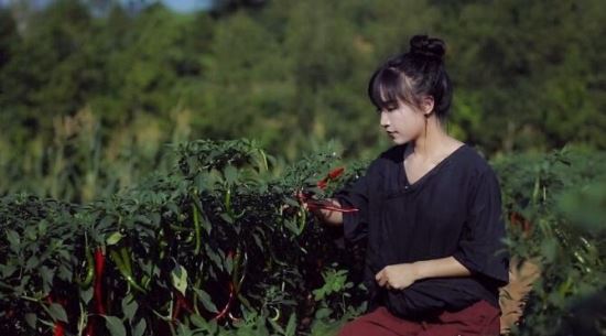 李子柒个人资料 火遍全网的治愈系美食博主(网友称现代版陶渊明)