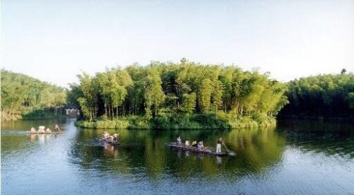 世界上面积最大的竹林 四川蜀南竹海面积高达120平方公里