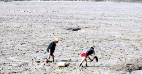 恶心海蜈蚣怎么吃做法 福建重口味美食(慎入)