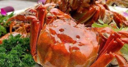世界上最大的大闸蟹 公蟹6两母蟹4两(肉厚肥美)