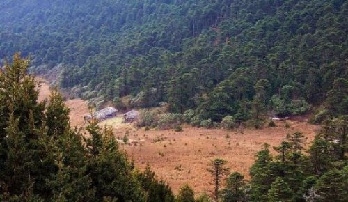 四川乐山黑竹沟 恐怖的死亡之谷(进去之后少有人能出来)
