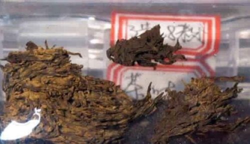 世界上最古老茶叶出土 汉景帝陵墓中出土古老茶叶