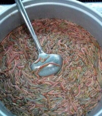 恶心海蜈蚣怎么吃做法 福建重口味美食(慎入)