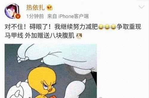 热依扎个人资料 机场低胸吊带露半球惹争议(本尊回应：碍眼了)
