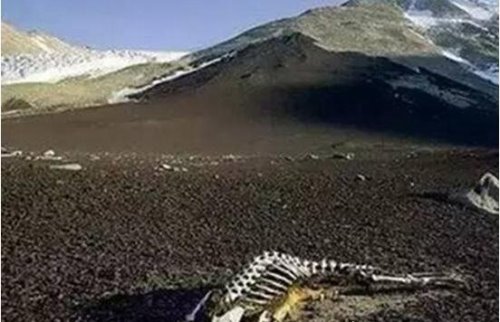 中央不敢报昆仑山之谜揭秘 神秘天雷造成死亡谷遍地骸骨