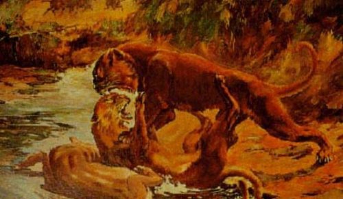 远古恐猫是人类祖先天敌 对南方古猿有致命的危险