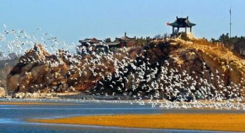 北戴河旅游景点有哪些 鸽子窝公园是必去景点之一
