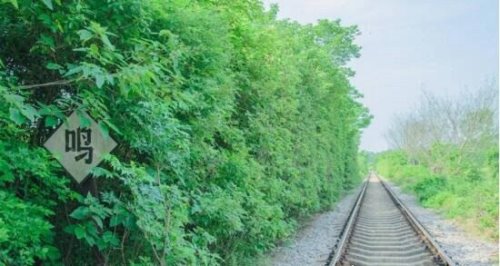 南京爱情隧道差点被毁 被民众呼吁后得以保留