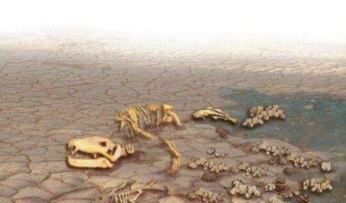 第五次生物大灭绝的根本原因 自然灾害带来的毁灭