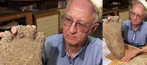 世界多地目击大脚怪 体型高大黑红毛发的恐怖野人