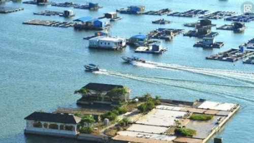 深圳海上皇宫事件真相 不要试图触犯法律的的死角(违建)