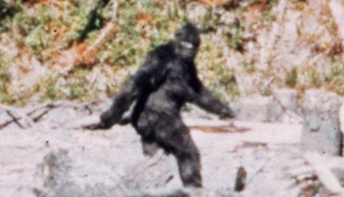 世界多地目击大脚怪 体型高大黑红毛发的恐怖野人