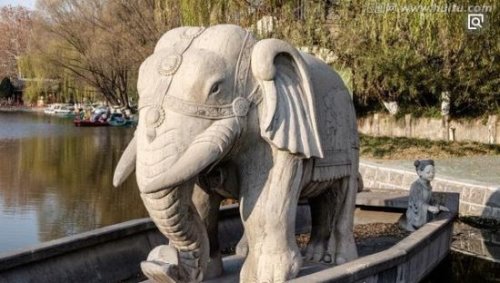 三国神童曹冲怎么死的(被哥哥谋害) 讲述曹冲称象的故事
