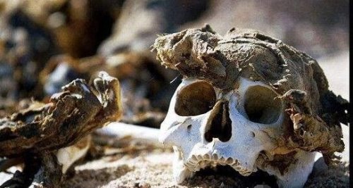 罗布泊双鱼玉佩事件真相 彭加木被生化病毒感染