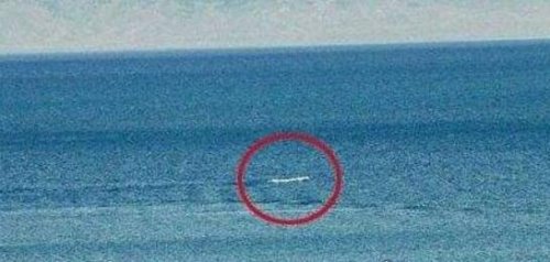 西藏青海湖水怪被奉为神明 形象和中国龙极为相似