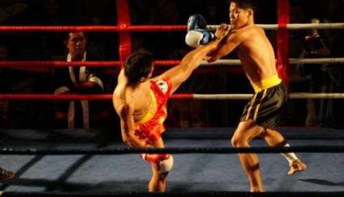 中国十大散打王排行榜 中国最会打架的男人都在这里了