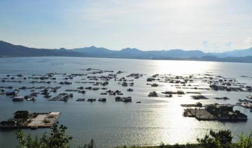 深圳海上皇宫事件真相 不要试图触犯法律的的死角(违建)