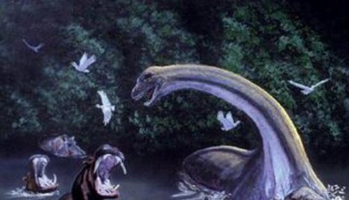 远古遗留生物魔克拉·姆边贝 刚果河流域出现史前恐龙