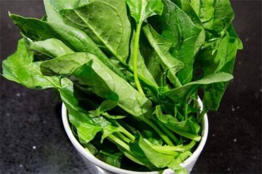 秋天种什么菜 10种生活营养蔬菜