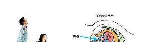 女性如何快速怀孕的姿势图