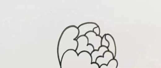 儿童简笔画牡丹花