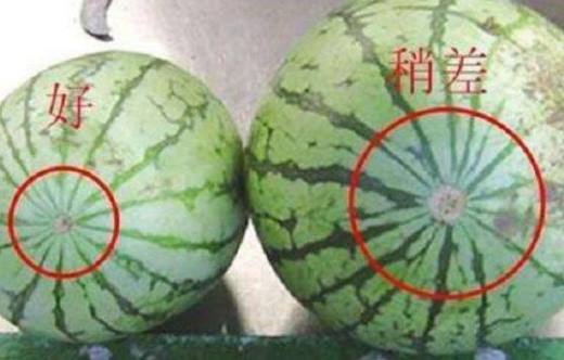 西瓜是几月份的水果 西瓜几月份熟(6～9月)