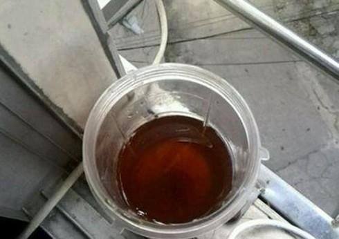 童子尿和童女尿的区别