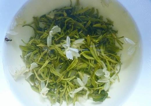 茉莉花茶的功效与作用,便秘的人不可饮用