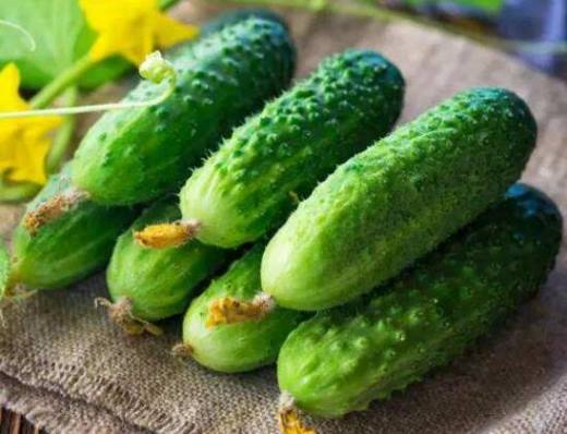 夏季的时令蔬菜有哪些?这10种蔬菜吃了降暑还提高免疫力