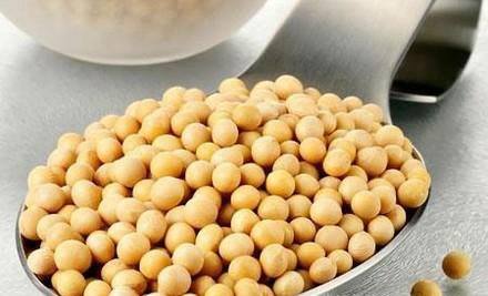 快速瘦身塑形的豆类食物有哪些?
