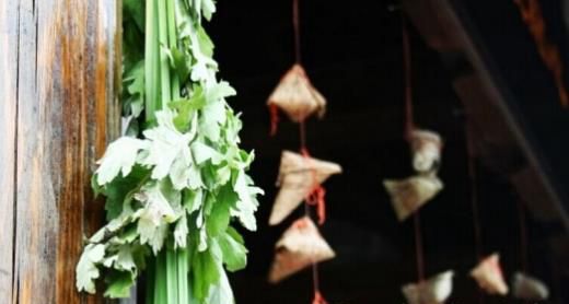 民俗草本植物帮你“驱毒辟邪”度端午
