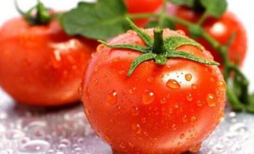 夏季的时令蔬菜有哪些?这10种蔬菜吃了降暑还提高免疫力