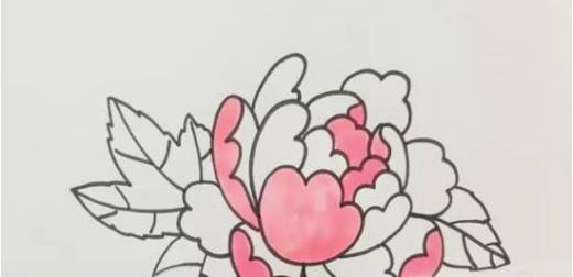 儿童简笔画牡丹花