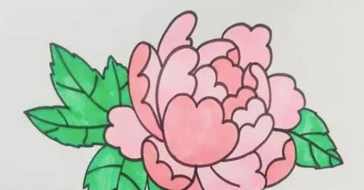 儿童简笔画牡丹花