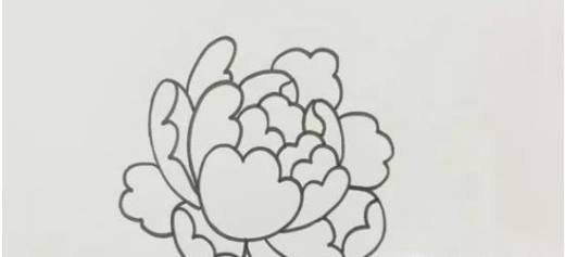 儿童简笔画牡丹花