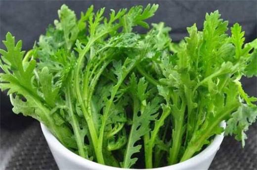 秋天种什么菜 10种生活营养蔬菜