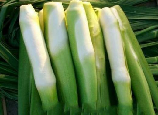 夏季的时令蔬菜有哪些?这10种蔬菜吃了降暑还提高免疫力