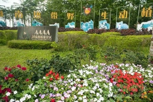 联合国副秘书长赞赏中国为保护野生动植物作出了积极贡献