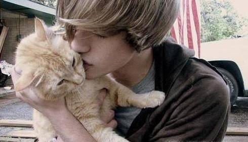 猫对人表示好感的行为有哪些?